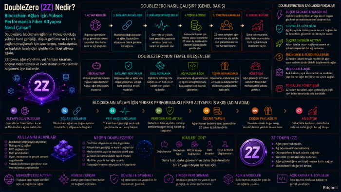 DoubleZero (2Z) Nedir? Blockchain Ağları İçin Yüksek Performanslı Fiber Altyapısı Nasıl Çalışır?